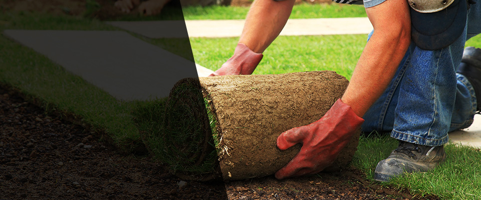 Los Alamos Landscapers